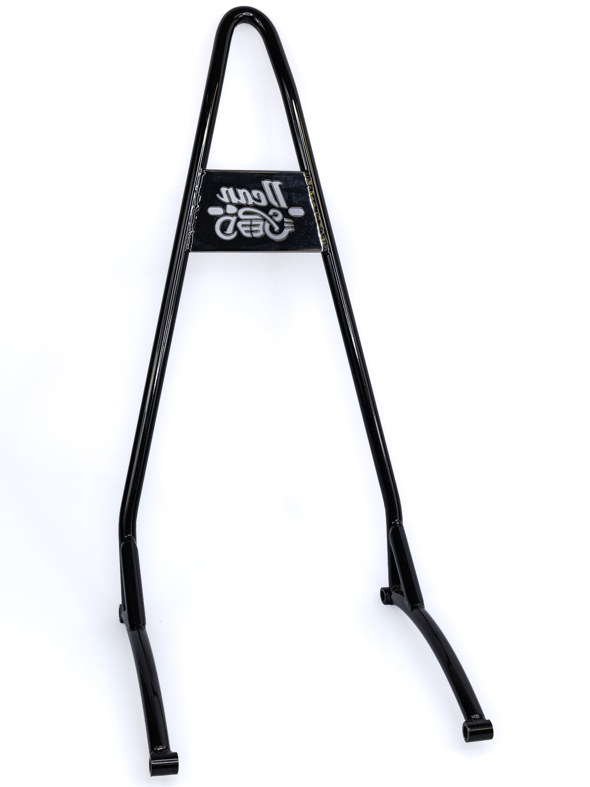 2025 + Scout Sissy Bar