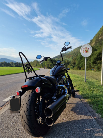 '22+ Indian Chief Classic Sissy Bar