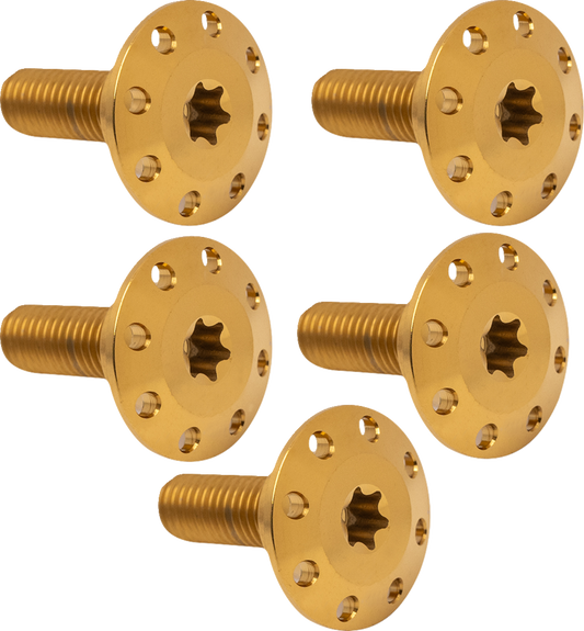 ARLEN NESS Bolt Kit - Holeshot/Front/Floating/Brake Rotor - Spoke Mount - Gold - 5 Pack 300-908