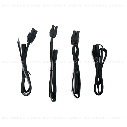 Indian Powerplus 2 Speaker Audio Package
