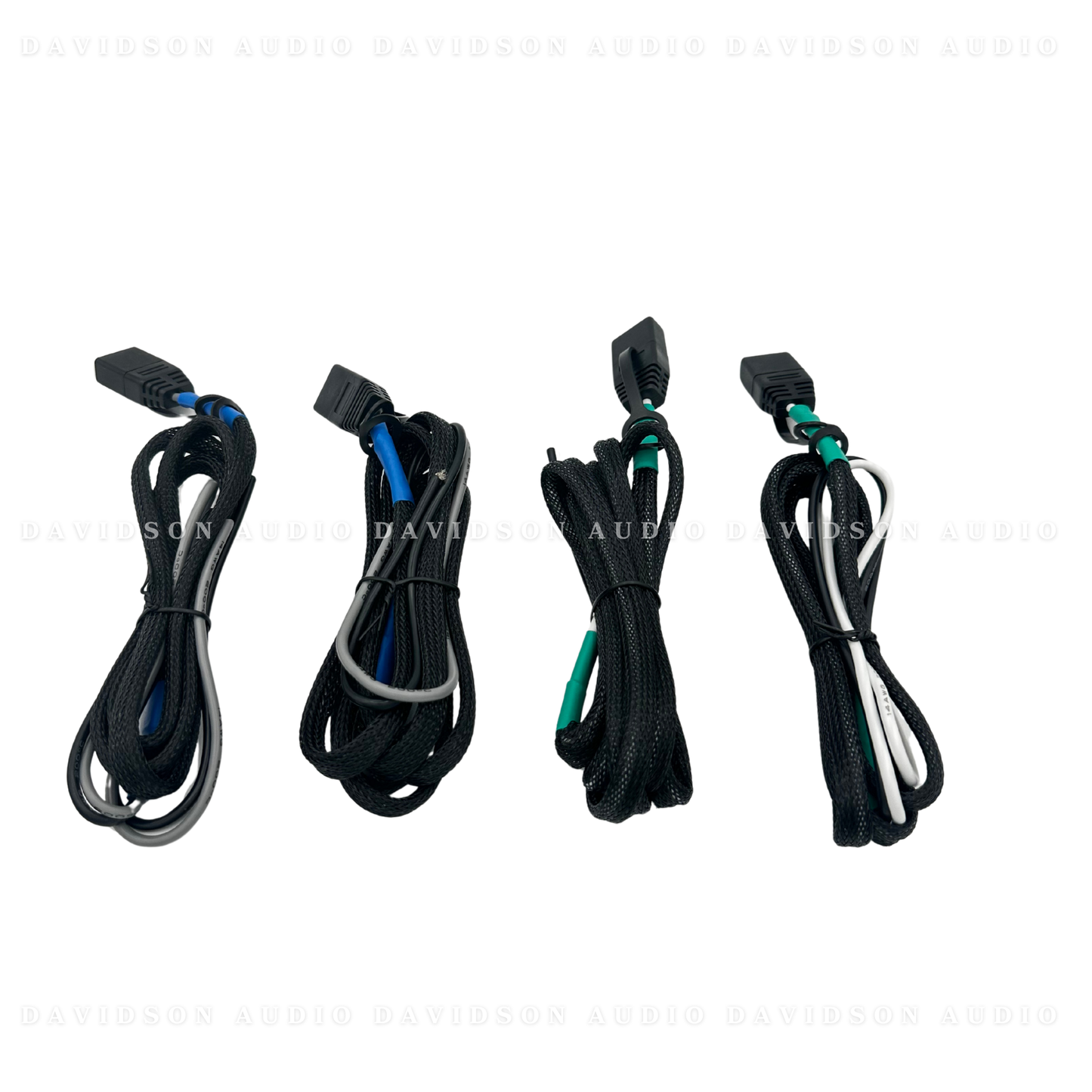 Indian Powerplus 2 Speaker Audio Package