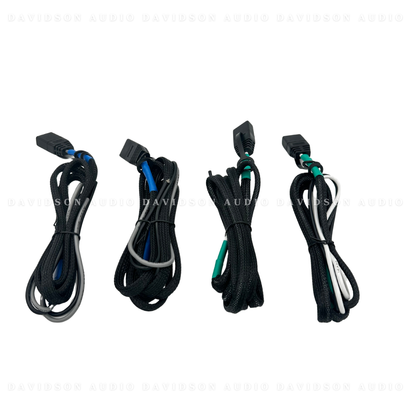 Indian Powerplus 2 Speaker Audio Package