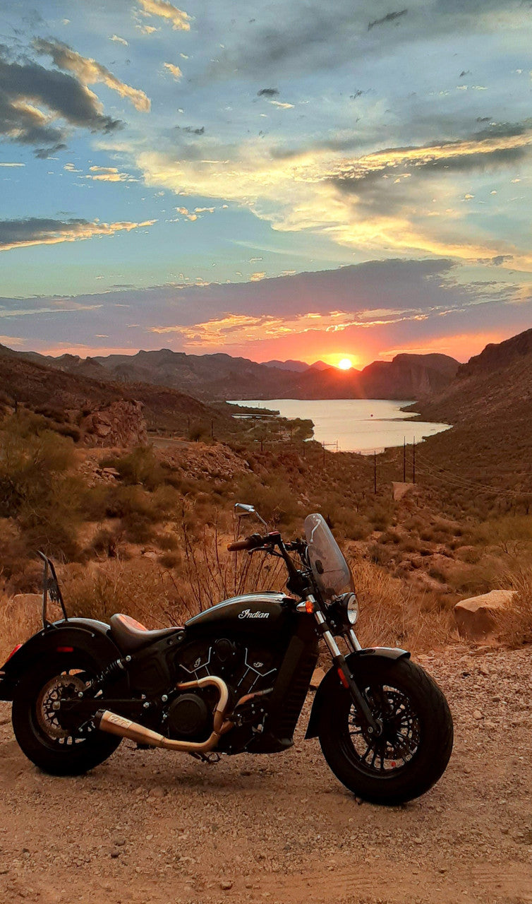 Sissy bar store scout bobber