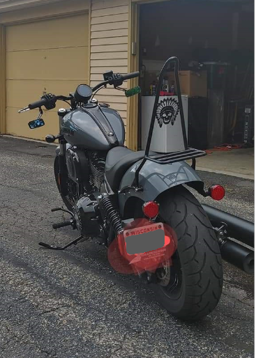 Sissy bar indian deals