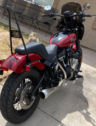 Sissy bar for 2024 2020 street bob